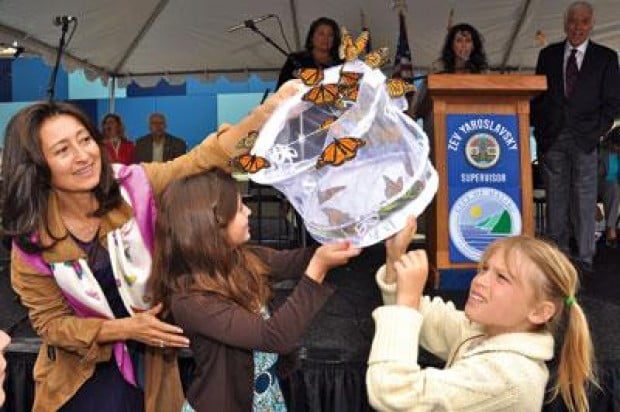 Malibu Library transformed The newly renovated,