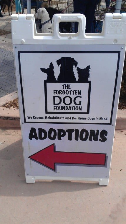 Rescue dogs now available at the Malibu Farmers Market