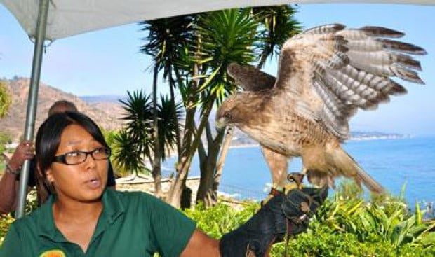 California Wildlife Center’s fundraiser a ‘wild’ success
