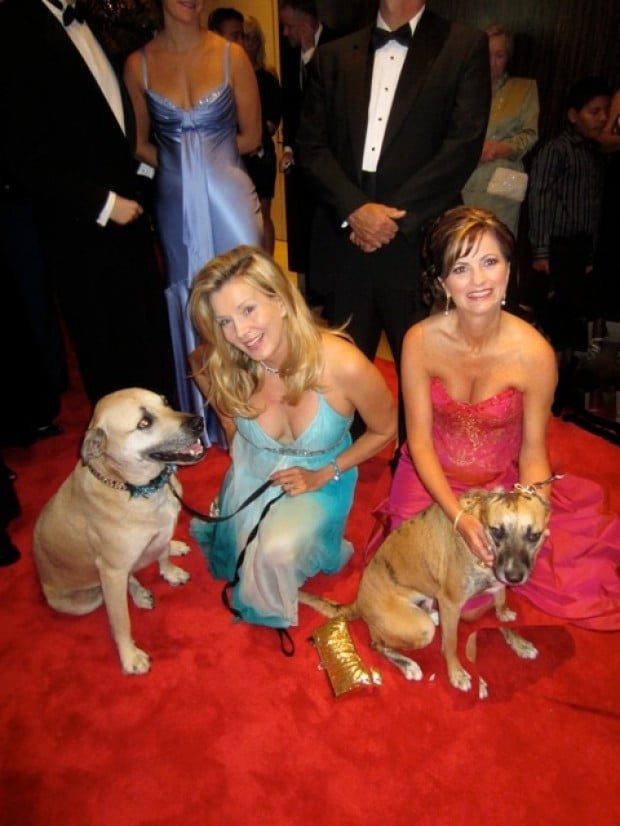 Awards show goes to the dogs