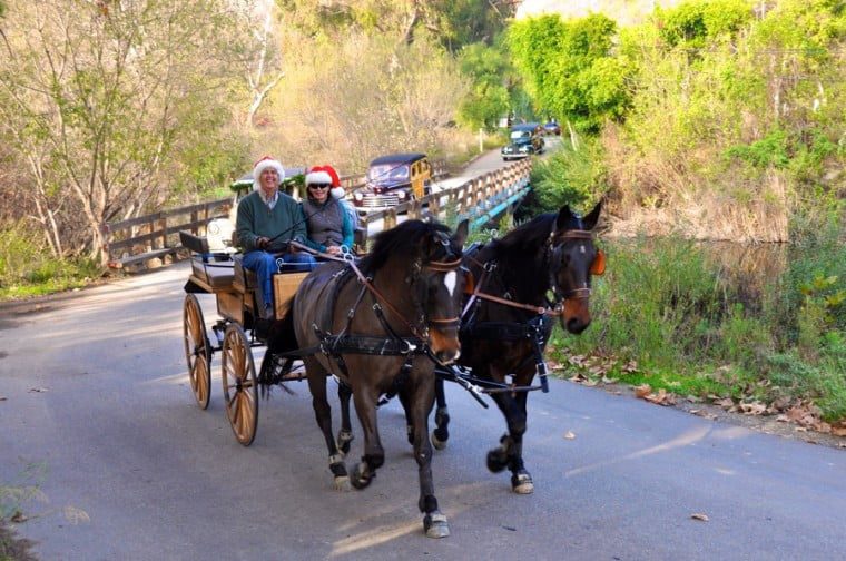 Horses on parade