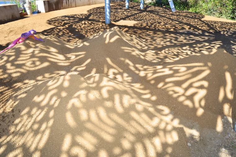 Kelp shadow formations