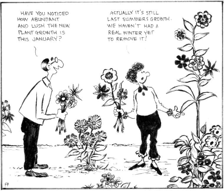 Cartoon: January Blooms