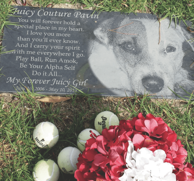 L.A. Pet Memorial Ushers Beloved Companions Into Afterlife