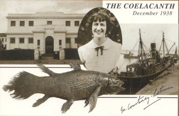 Blog: An Exquisite Living Fossil: Coelacanth