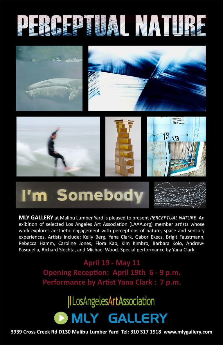 Perceptual Nature Exhibition to Benefit  Artists Assoc.