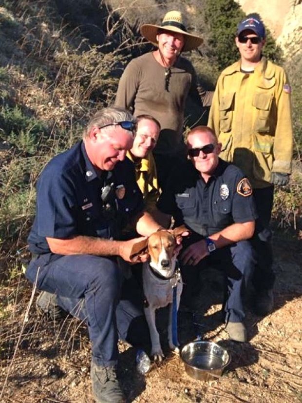 Firefighters And Malibu Locals Help Save Dog