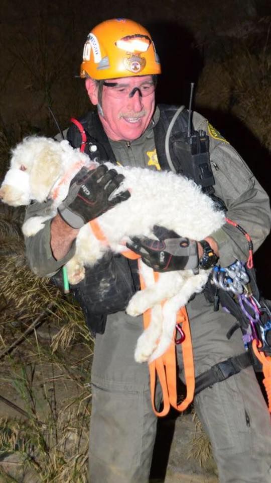 Malibu Rescuers Save Man and Dog Trapped In Canyon