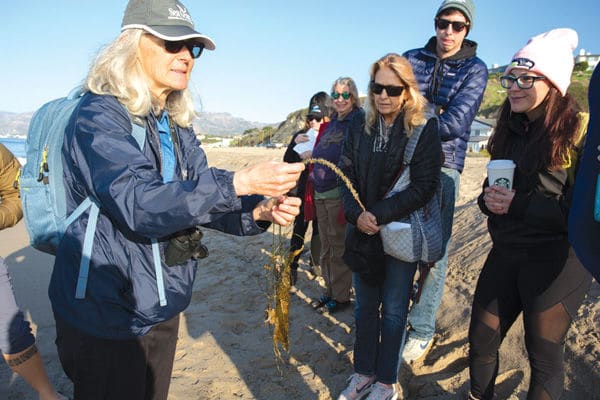 Photographing the Future of Sea Level Rise: California King Tides Project 2020 Launches in Malibu