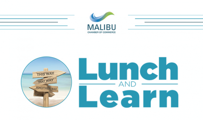 Lunch & Learn