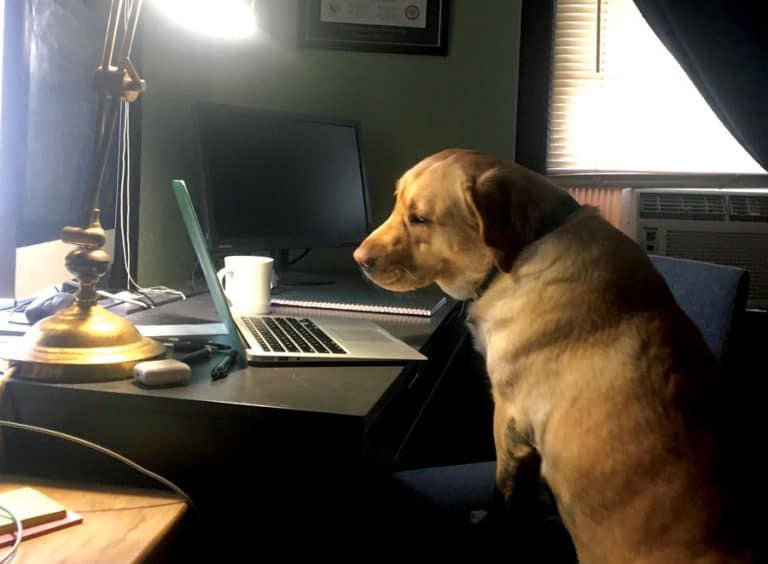 Calling All Coworkers