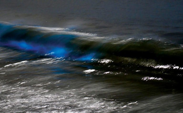 Photos: Blues Waves