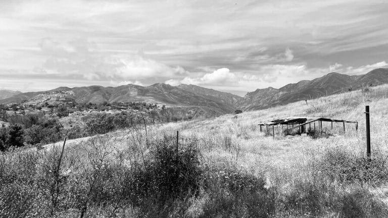 Malibu’s Best Shot