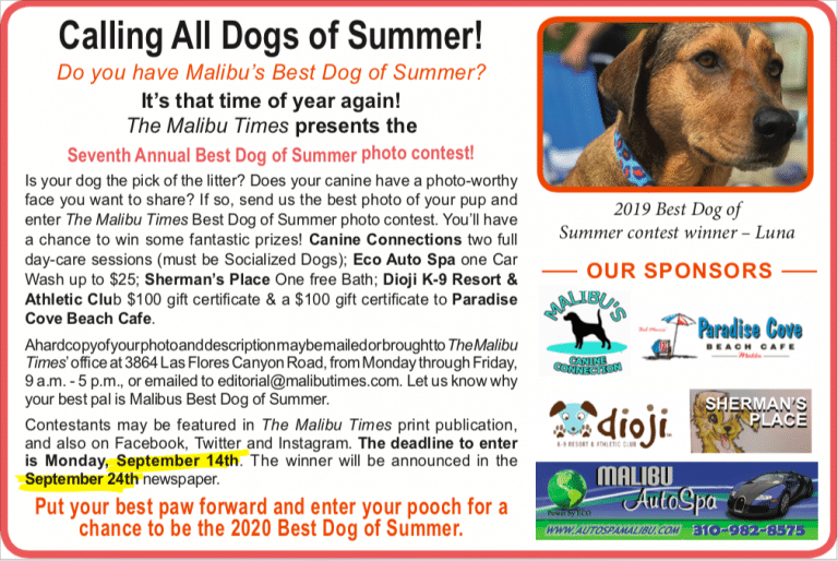 Contest: 2020 Best Dog of Summer