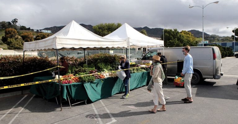 Farmers Market Moves up Hours to Beat the Heat