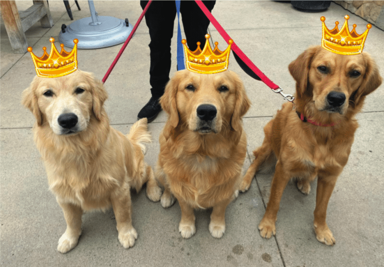 Triple Crown