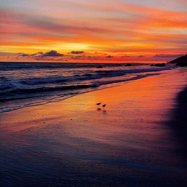 Photos: Fall-en in Love with Malibu