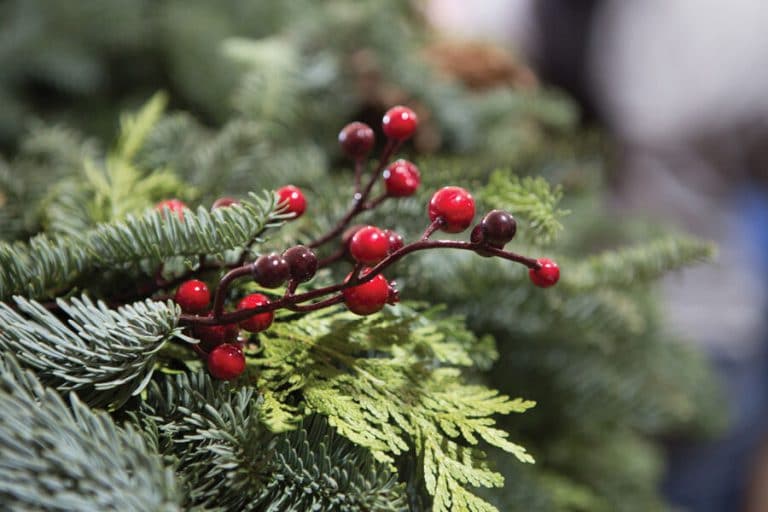 Christmas