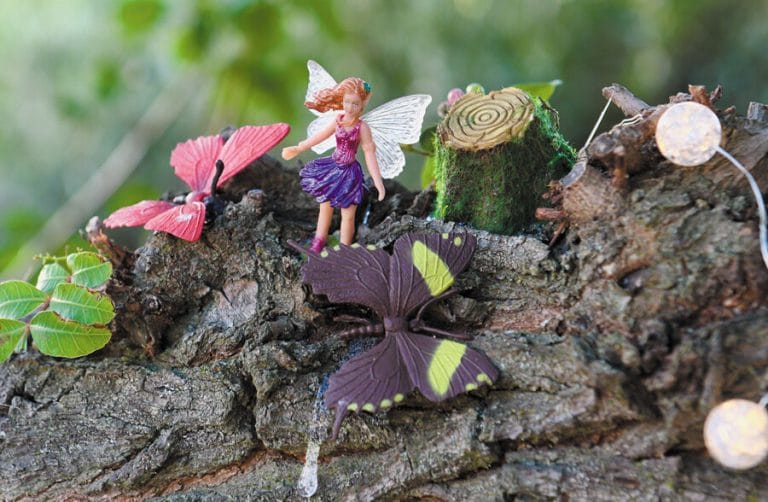 fairy garden 2626.jpg