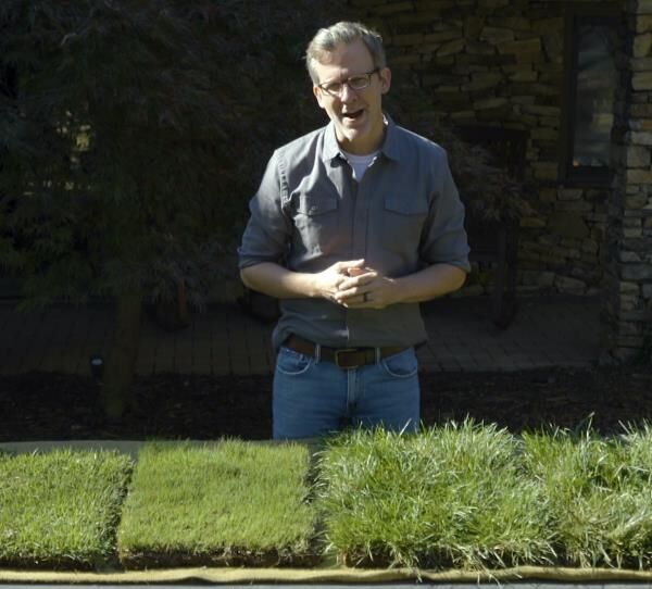 Are You Growing the Right Type of Grass?