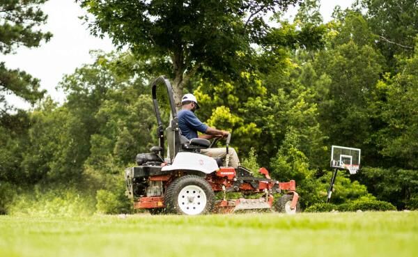 Improve Your Backyard Life With These Lawn Care Tips