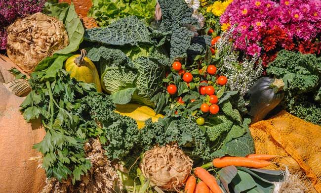 How to Plant a Bountiful Fall Garden