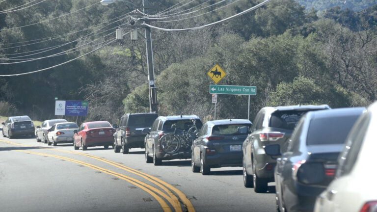 Tree Trimming Causes Heavy Traffic on Las Virgenes Canyon Rd. 