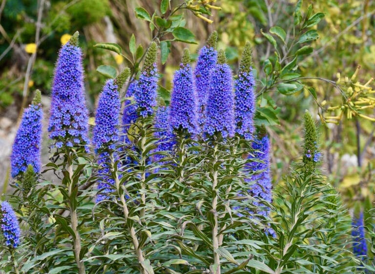 Spring beckons you to go outdoors