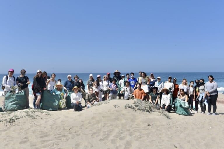 Restoring Malibu beaches, one volunteer at a time Restoring Malibu beaches, one volunteer at a time