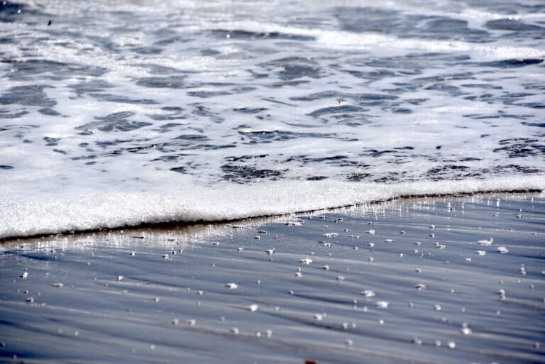 LA County of Public Health issues ocean water use warning for LA County beaches, including Topanga Canyon Beach