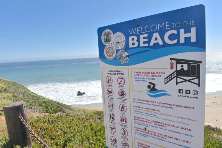Malibu’s shorelines drown in litter Malibu’s shorelines drown in litter