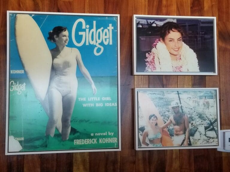 Malibu’s original ‘Gidget’ celebrated at fundraiser