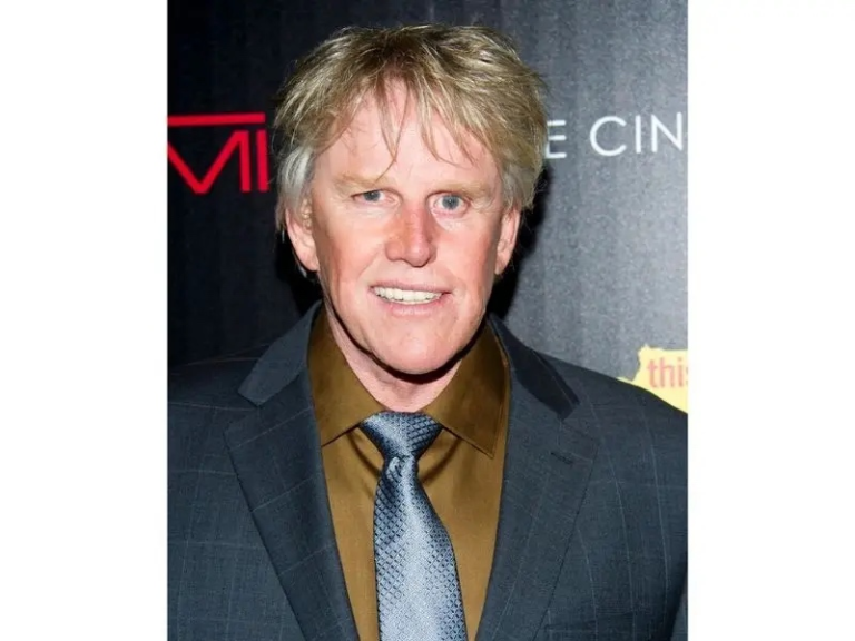 Actor Gary Busey allegedly involved in hit-and-run car accident in Malibu