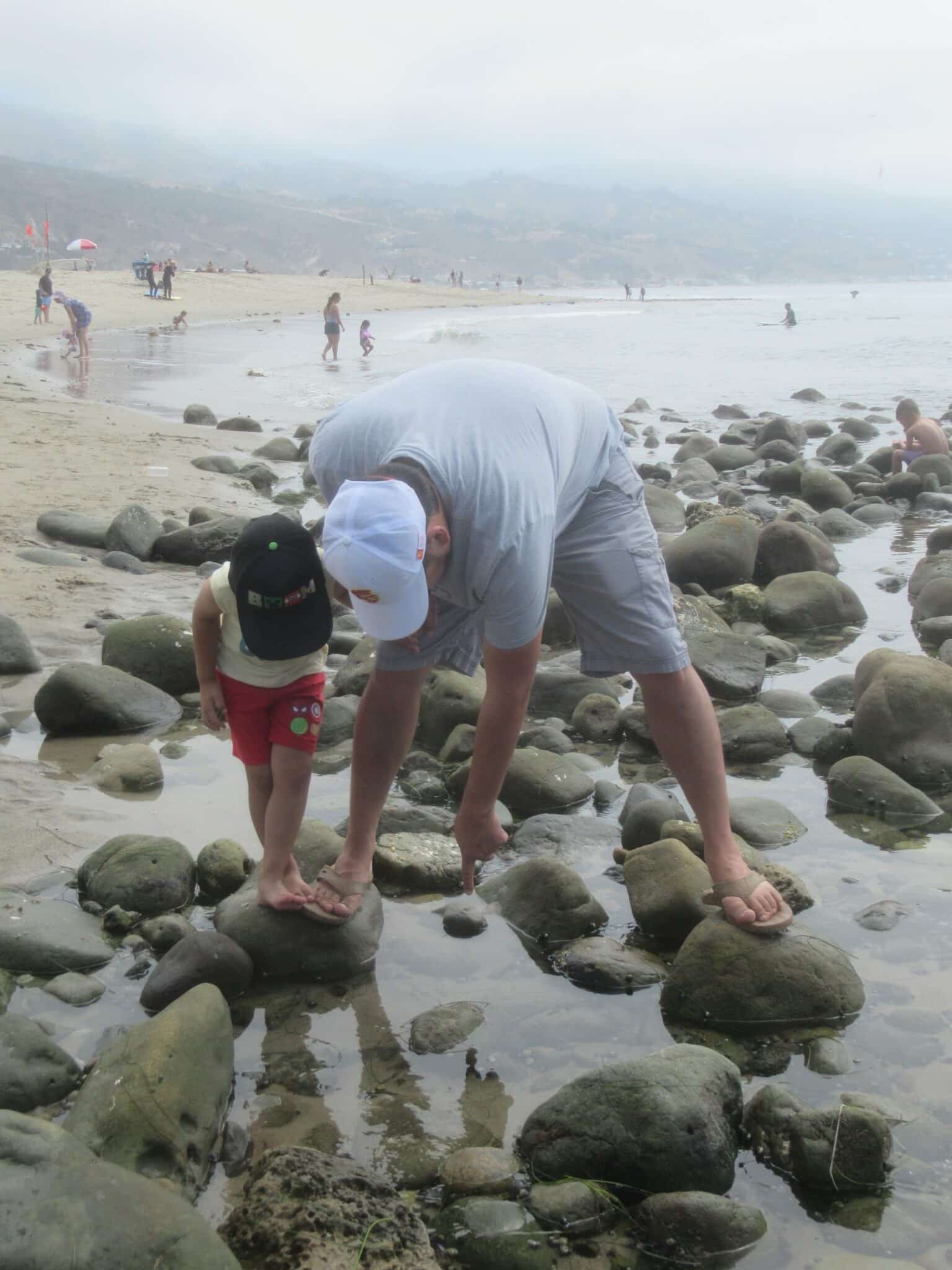 2022.07.02 Family exploring tidepools during Malibu Lagoon Together Program 2 scaled