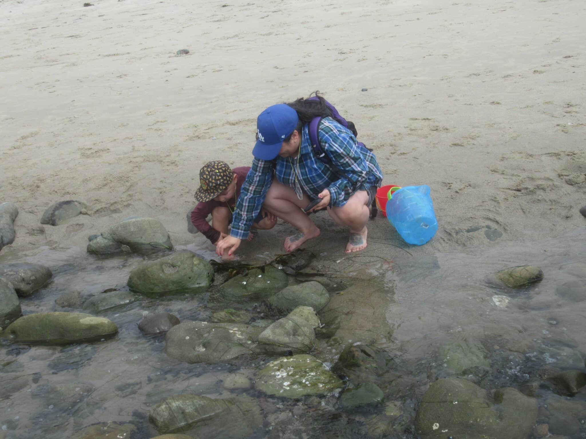 2022 07 02 Family exploring tidepools during Malibu Lagoon Together Program 4 scaled