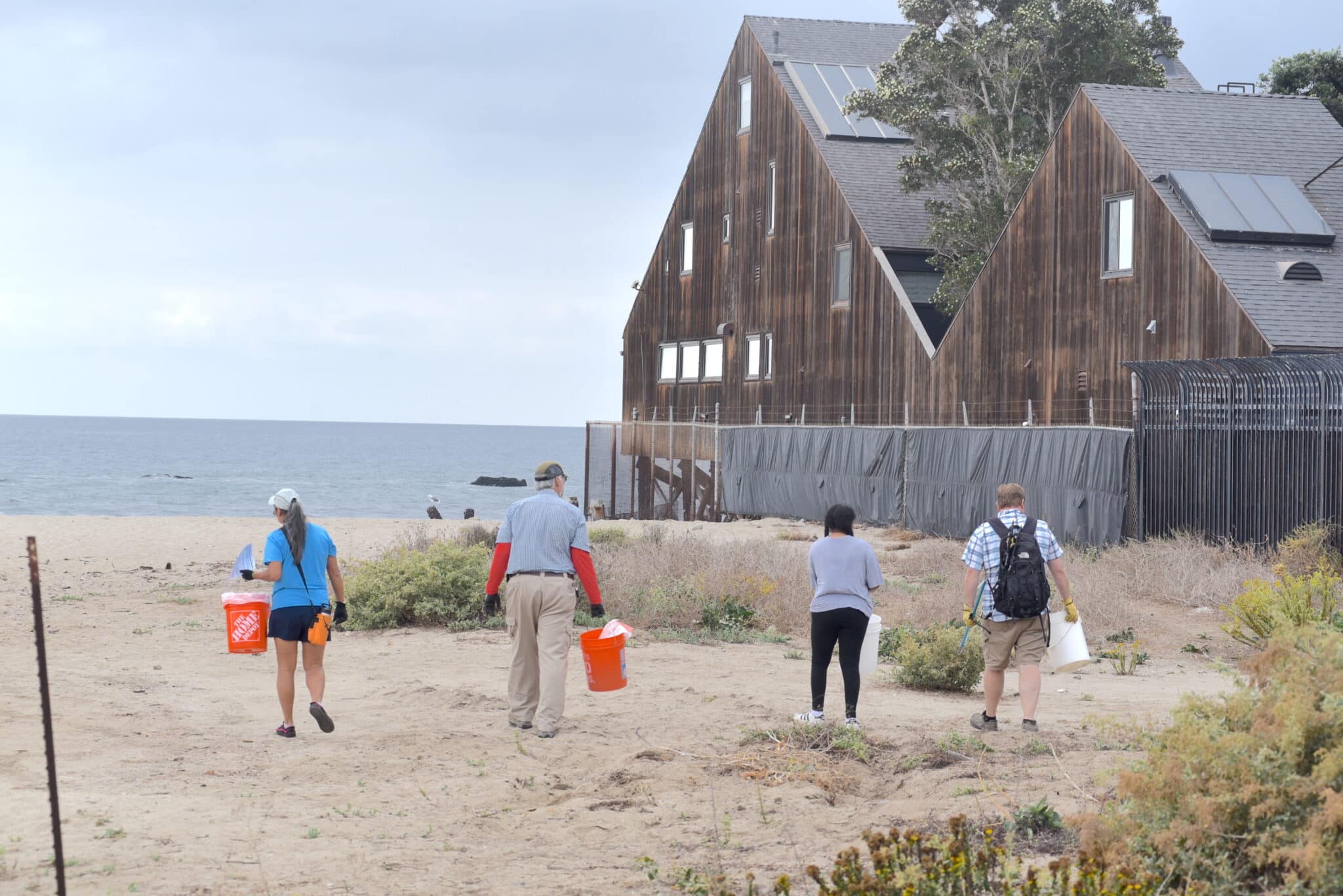 BeachCleanUp 3 scaled