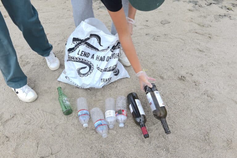 Volunteers sought for Coastal Cleanup Day on Saturday, Sept. 21