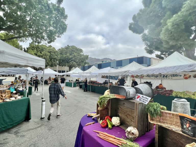 Malibu Farmers Market To Return to County Owned Lot on Civic Center Way at Santa Monica College