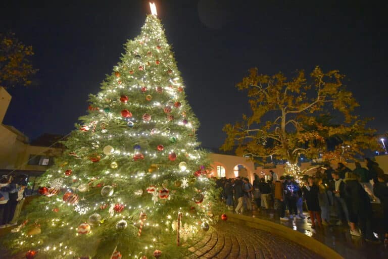Pepperdine Tree Lighting Ceremony Tonight Pepperdine Tree Lighting Ceremony Tonight