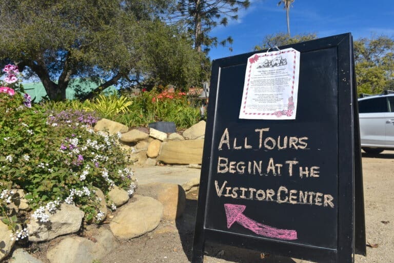 Calendar for the week of Dec. 16