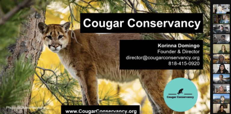 #SaveLACougars campaign holds seminar #SaveLACougars campaign holds seminar