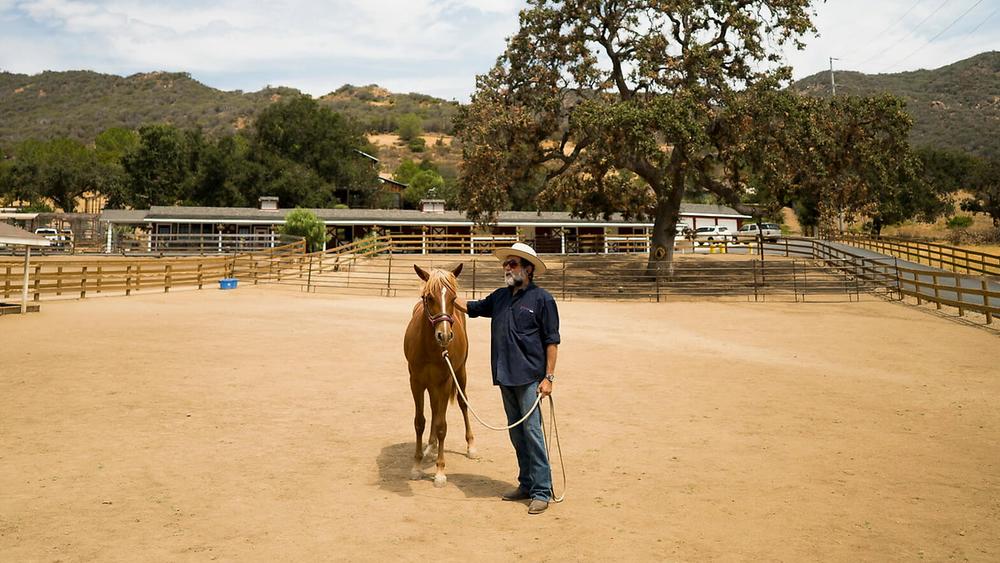 2023 Santa Cruz Horse UC Davis 00003