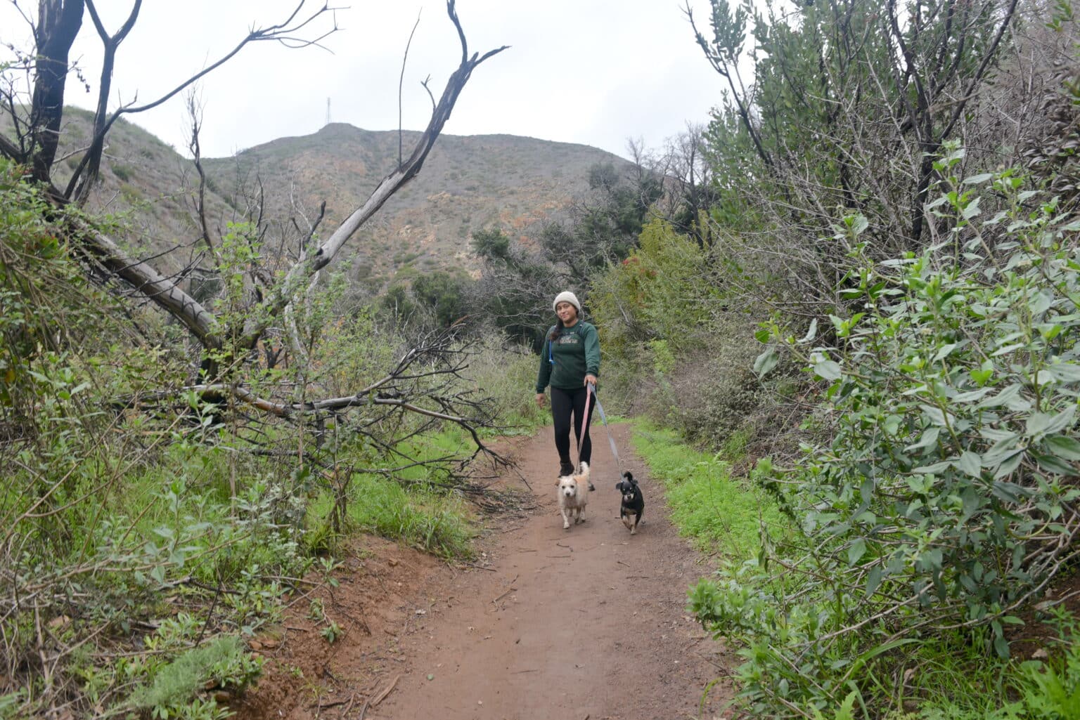 Escondido Falls Trail waterfall draws crowd to Malibu • The Malibu Times