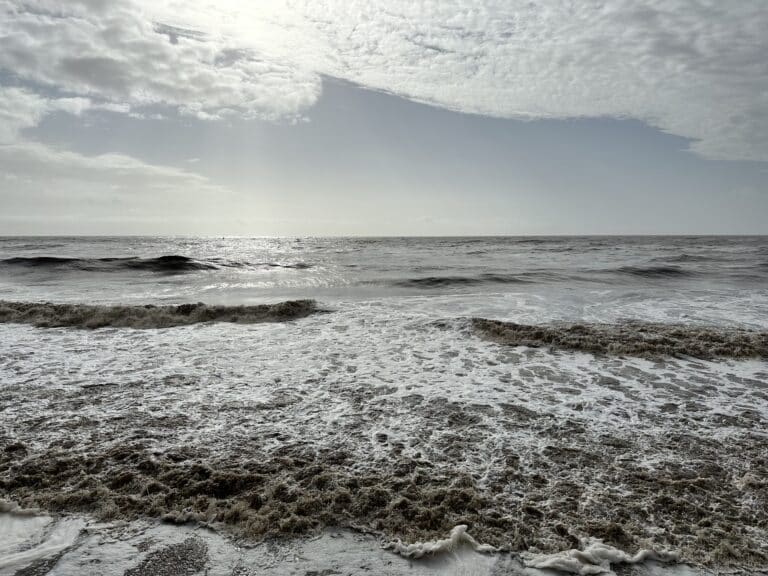 Ocean Water Quality Rain Advisory in Affect for all LA County Beaches