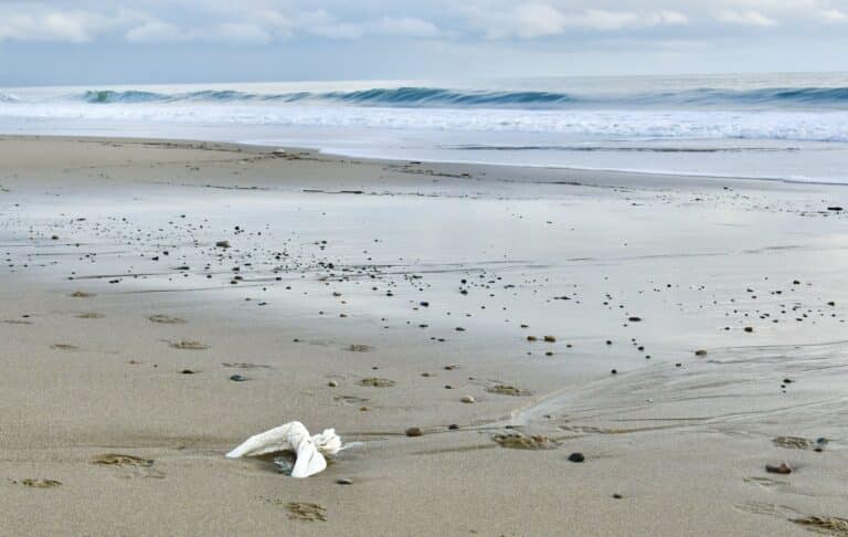 What to do with all those sandbags after the storms, and where to get free sand and bags