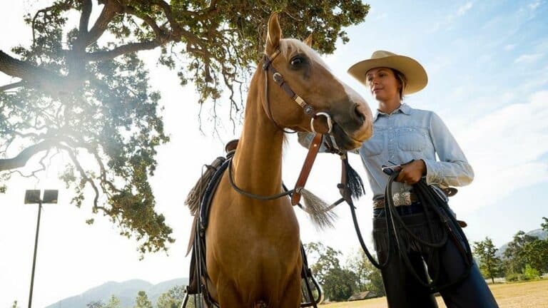 Rare Santa Cruz Island horses being saved from genetic extinction Rare Santa Cruz Island horses being saved from genetic extinction