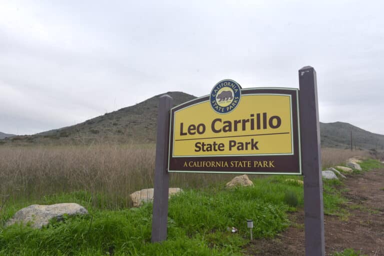One women killed in a single vehicle collision near Leo Carrillo State Beach