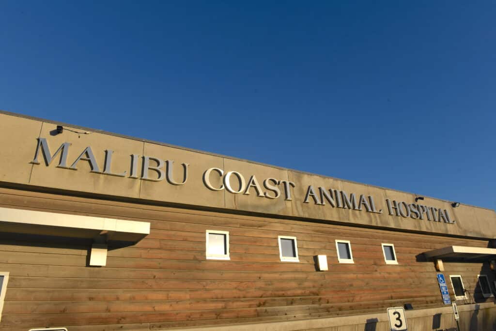 MalibuCoastAnimalHospital