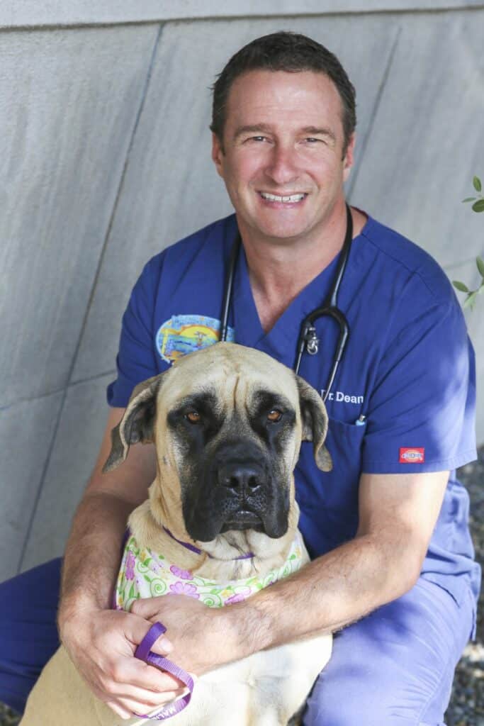 Veterinarian Dean Graulich