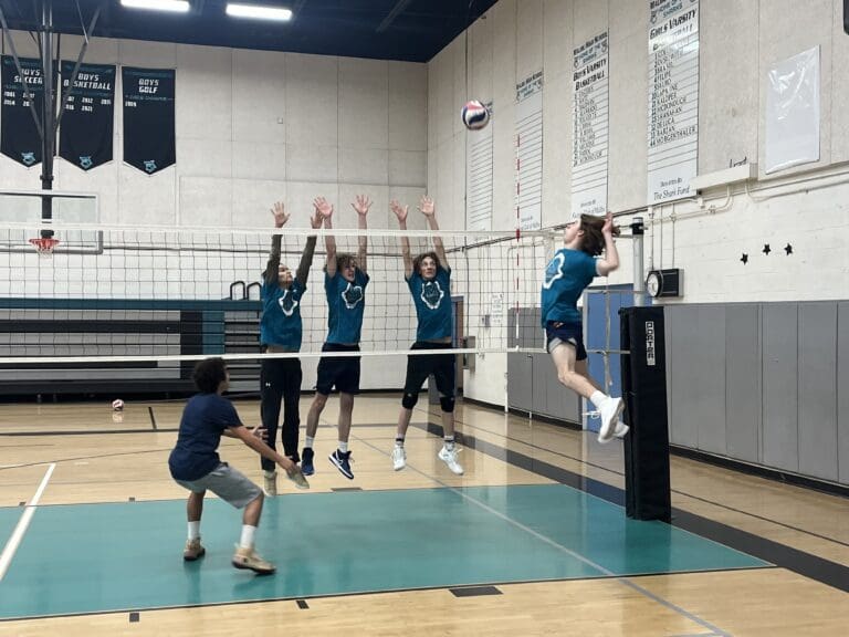 League champion Sharks boys volleyball begin season with a younger team
